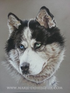 Douchka Pastel sec  24 x 30 cm 