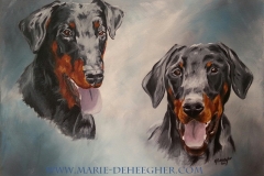 Chirel et Iron-doberman