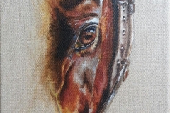 regard cheval