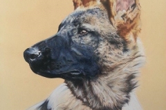 Laska - Berger Allemand